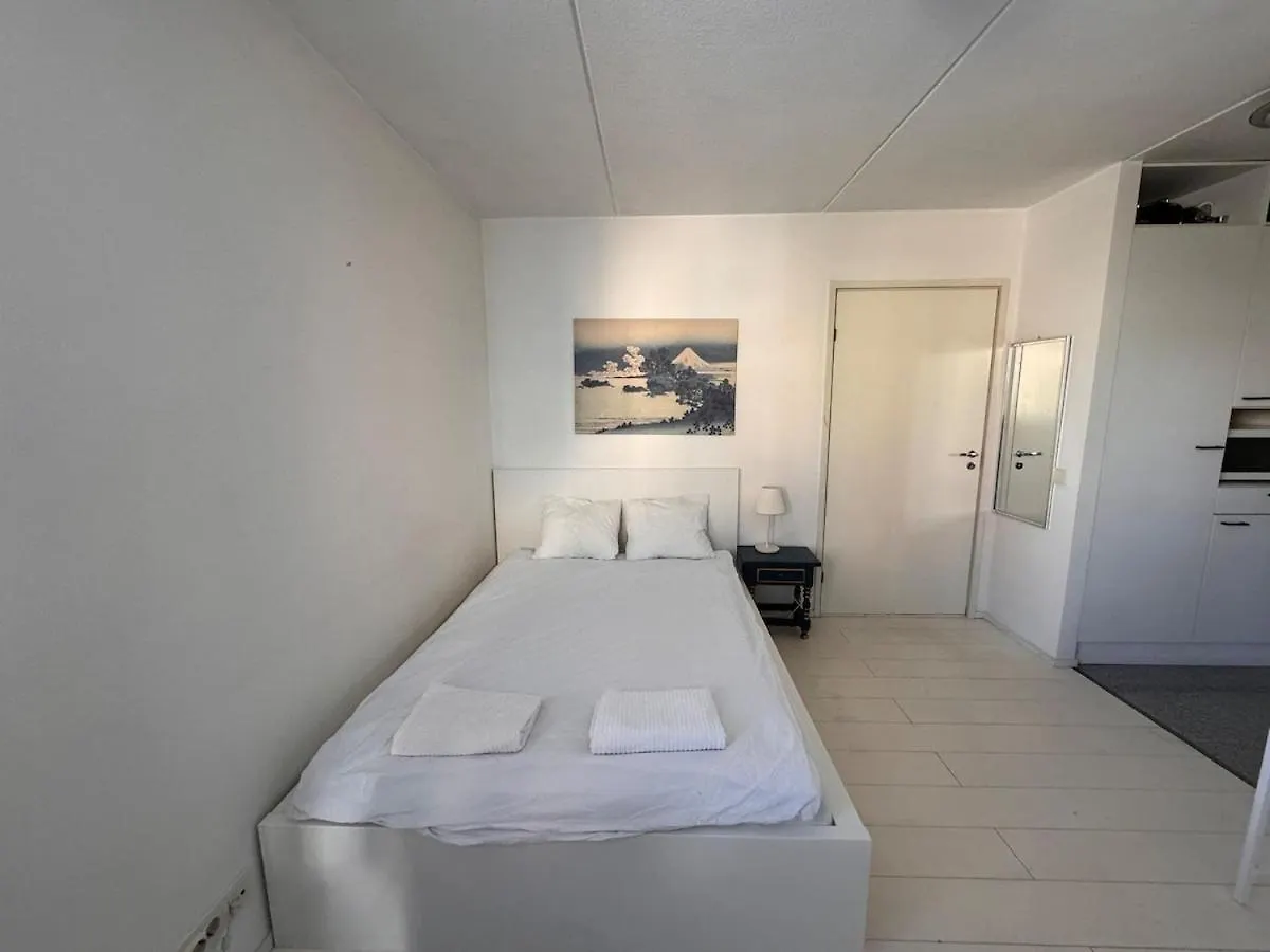 Perfect Cozy Studio & 5 Star Location Helsinki 0*,
